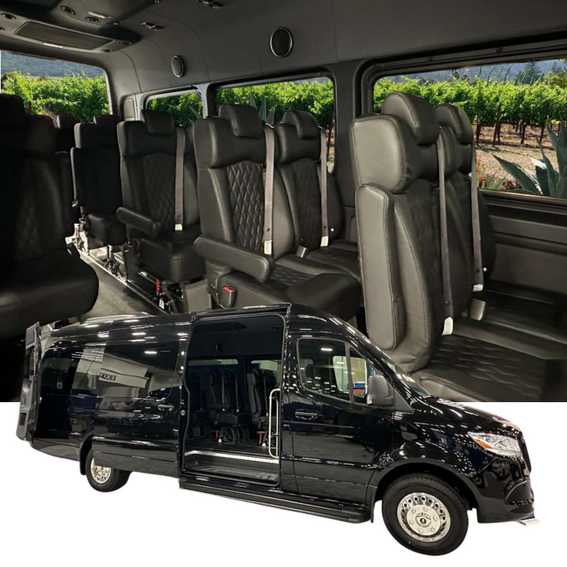 12-Passenger Sprinter Executive Limo